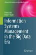Information Systems Management in the... - Bild 1