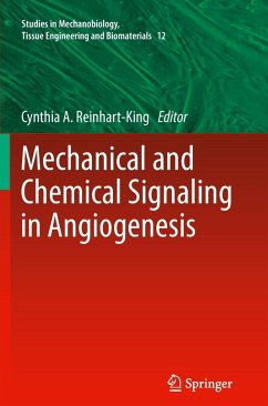 Mechanical and Chemical Signaling in Angiogenesis