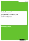 Theoretische Grundlagen zum Risikomanagement (eBook, PDF)