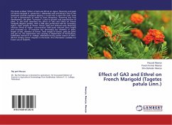 Effect of GA3 and Ethrel on French Marigold (Tagetes patula Linn.) - Maurya, Raj pati;Maurya, Pavan Kumar;Maurya, Shiv Bahadur