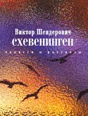 Схевенинген (eBook, ePUB)