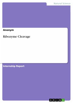 Ribozyme Cleavage (eBook, PDF)