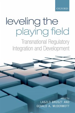 Leveling the Playing Field (eBook, PDF)