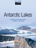 Antarctic Lakes (eBook, ePUB)