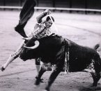 Life Is Elsewhere Life Is Elsewhere