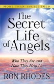 Secret Life of Angels (eBook, ePUB) Secret Life of Angels (eBook, ePUB)