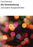 Die Verschwörung (eBook, ePUB)