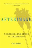 AfterImage (eBook, ePUB)