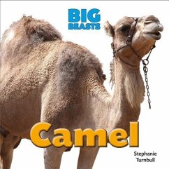 Camel - Turnbull, Stephanie