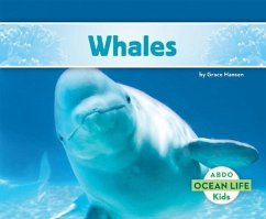 Whales - Hansen, Grace