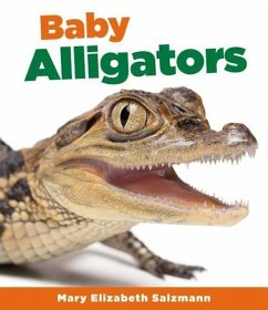 Baby Alligators - Salzmann, Mary Elizabeth