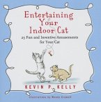 Entertaining Your Indoor Cat