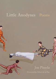 Little Anodynes - Pineda, Jon