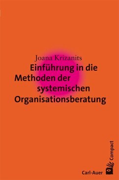 Einführung in die Methoden der systemischen Organisationsberatung - Krizanits, Joana