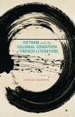 Vietnam and the Colonial Condition of French Literature (eBook, ePUB)