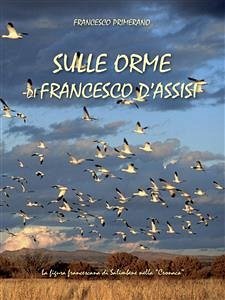 Sulle orme di Francesco d'Assisi (eBook, ePUB) - Primerano, Francesco