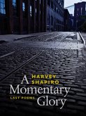 A Momentary Glory (eBook, ePUB)