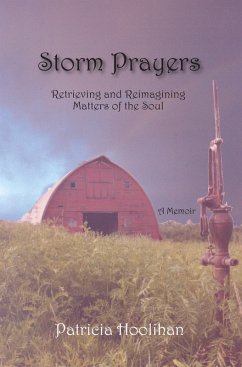 Storm Prayers (eBook, ePUB) - Hoolihan, Patricia