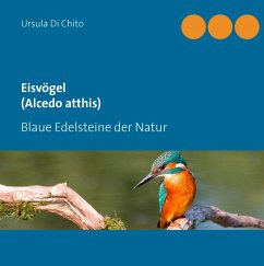 Eisvögel (Alcedo atthis) (eBook, ePUB) - Di Chito, Ursula