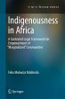 Indigenousness in Africa - Bild 1
