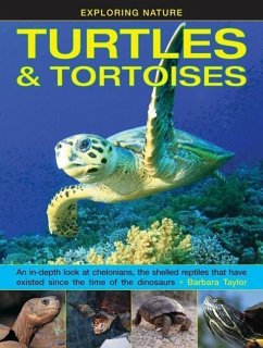 Exploring Nature: Turtles & Tortoises - Taylor Barbara