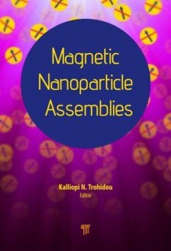 Magnetic Nanoparticle Assemblies