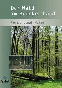 Der Wald im Brucker Land.