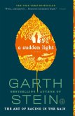 A Sudden Light (eBook, ePUB) A Sudden Light (eBook, ePUB)