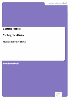 Mehrgüterflüsse (eBook, PDF) - Rückel, Bastian
