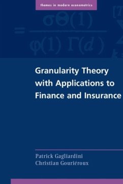 Cover Granularity Theory with Applications to Finance and Insurance (eBook, PDF)