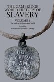 Cambridge World History of Slavery: Volume 1, The Ancient Mediterranean World (eBook, PDF)