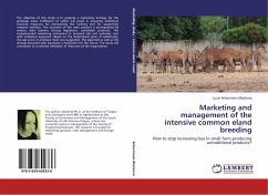 Marketing and management of the intensive common eland breeding