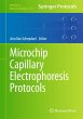 Microchip Capillary Electrophoresis... - Bild 1