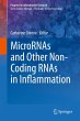 MicroRNAs and Other Non-Coding RNAs in... - Bild 1
