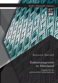 Risikomanagement im Mittelstand: Ratgeber für den professionellen Forderungseinzug - Marzahl, Benjamin