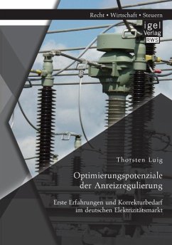 Optimierungspotenziale der Anreizregulierung: Erste Erfahrungen und Korrekturbedarf im deutschen Elektrizitätsmarkt - Luig, Thorsten