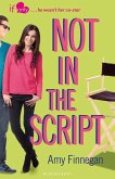 Not in the Script (eBook, ePUB)