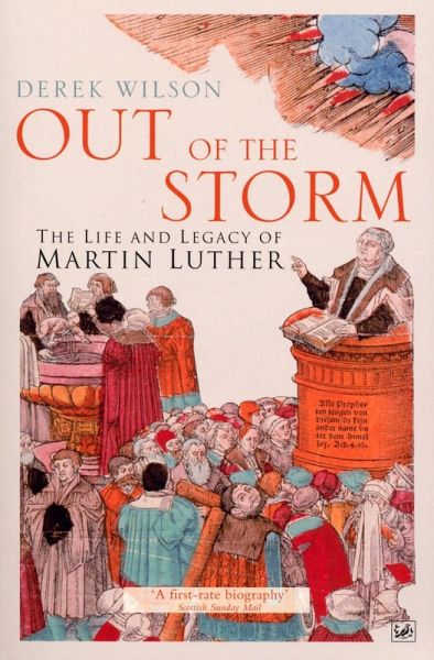 Out Of The Storm (eBook, ePUB)