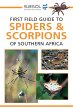 Sasol First Field Guide to Spiders &... - Bild 1