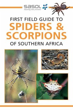 Cover Sasol First Field Guide to Spiders & Scorpions of Southern Africa (eBook, PDF)