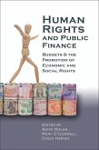 Human Rights and Public Finance (eBook, ePUB)