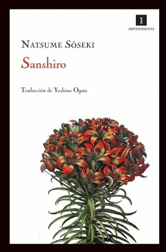 Sanshiro (eBook, ePUB) - Soseki, Natsume
