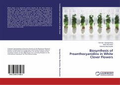 Biosynthesis of Proanthocyanidins in White Clover Flowers