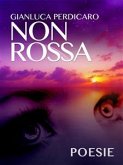 Non Rossa (eBook, ePUB)