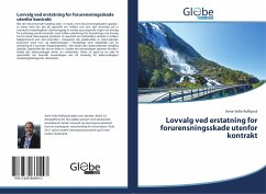 Lovvalg ved erstatning for forurensningsskade utenfor kontrakt - Rolfsjord, Anne-Sofie