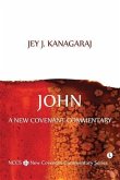 John (eBook, PDF)