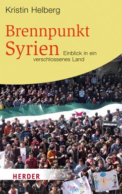 Brennpunkt Syrien (eBook, ePUB) - Helberg, Kristin