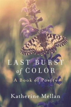 Cover Last Burst of Color (eBook, ePUB)