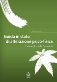 Guida in stato di alterazione psico-fisica (eBook, ePUB)