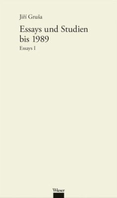 Essays / Werkausgabe 1, Bd.1 - Grusa, Jiri